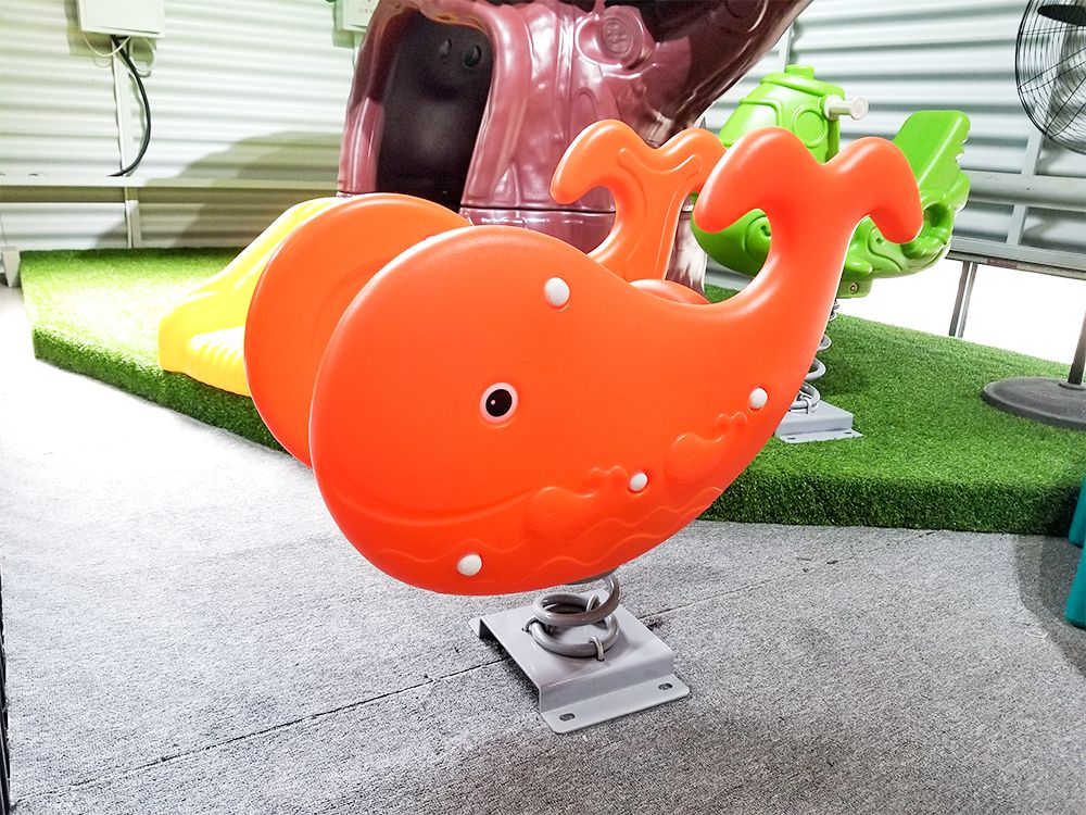 balina bahar binicisi